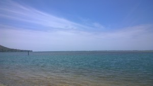 WP_20140508_003