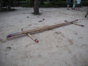 P1010130