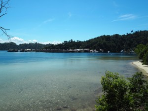 P1010148