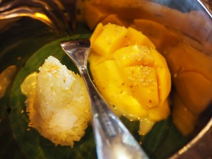P1010181